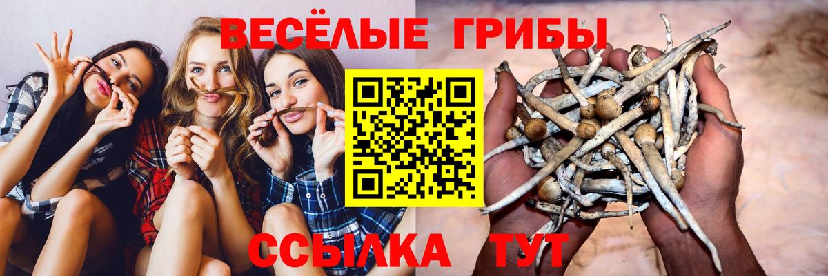 Псилоцибиновые грибы мухоморы  наркота  Клинцы  Вход с VPN 