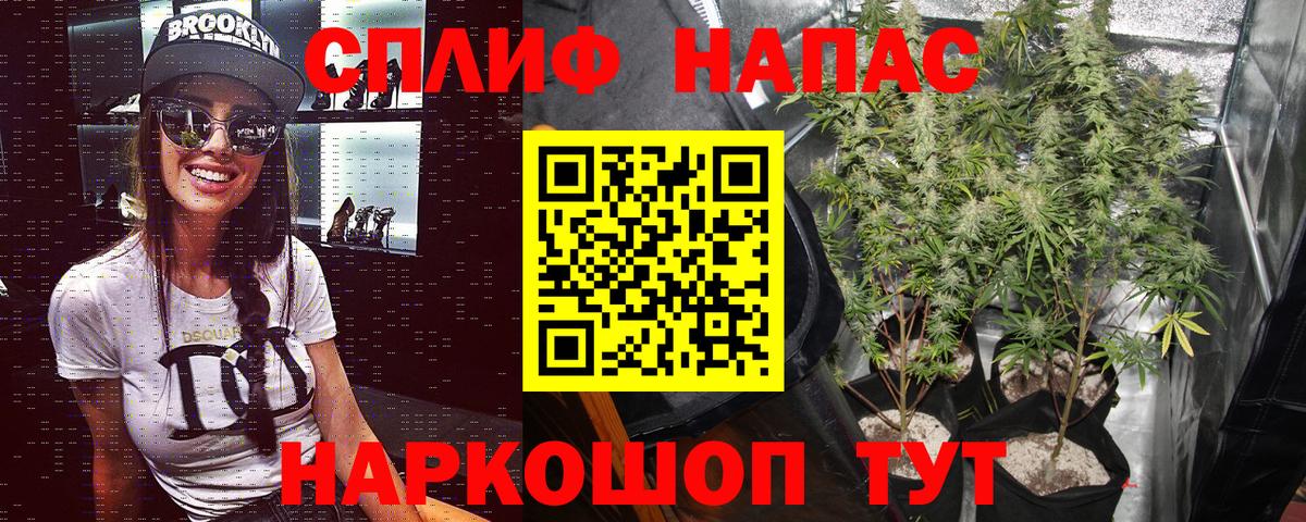 Каннабис White Widow Клинцы